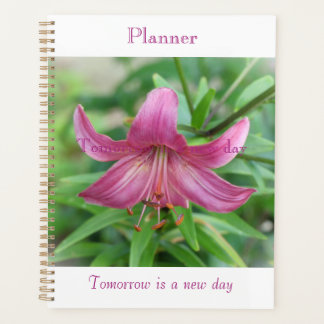 Pink Beauty Planer