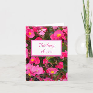 Pink Begonia Blume Denken Sie an Sie Karte