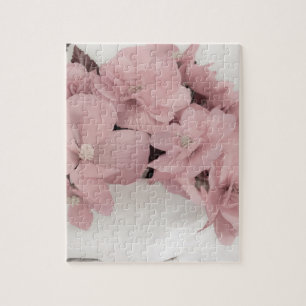 Pink Begonias