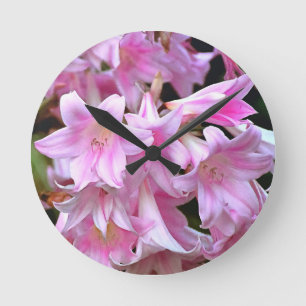 Pink Belladonna Amaryllis Lilies Runde Wanduhr