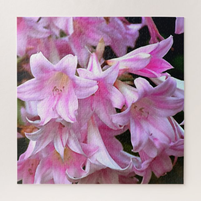 Pink Belladonna Lilies (Vertikal)