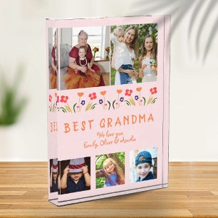 Pink Best Oma Blume Blumenfamilie Fotoblock