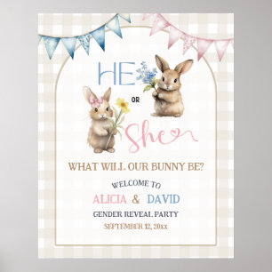 Pink Blaues Hase-Blumen-Geschlechtsenthüllungs-Wil Poster