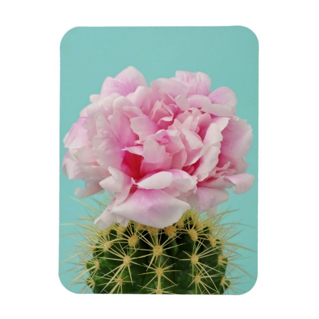 Pink Bloom Atop Spiky Cactus Magnet (Vertikal)