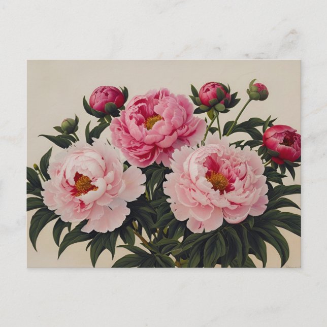 Pink Blooming Peony Blume Bouquet Postkarte (Vorderseite)