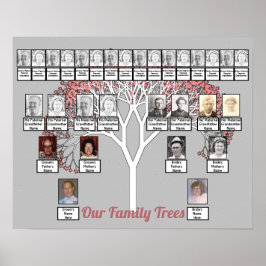 Pink Blossom Fraktal Tree Gray Zwei Familienbaume Poster