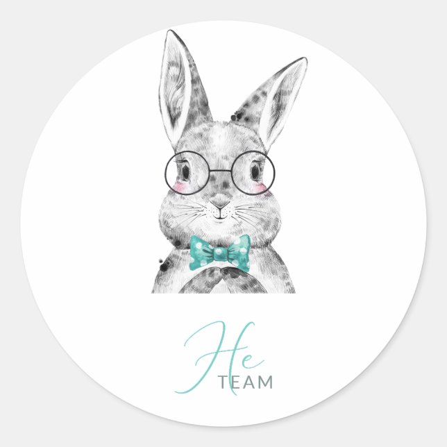 Pink Blue Bunnies Gender Reveal Runder Aufkleber (Vorderseite)