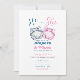Pink Blue Diapers and Wipes Gender Reveal Gingham Einladung