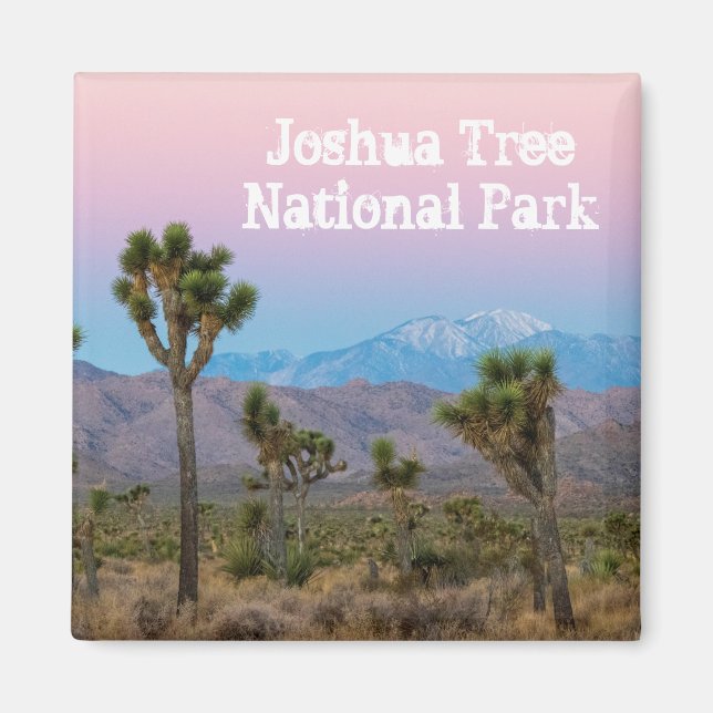 Pink Blue Joshua Tree Nationalpark Souvenir Magnet (Vorne)
