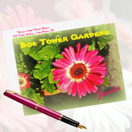 Pink Blume Bok Tower Gardens Lago Florida Postkarte
