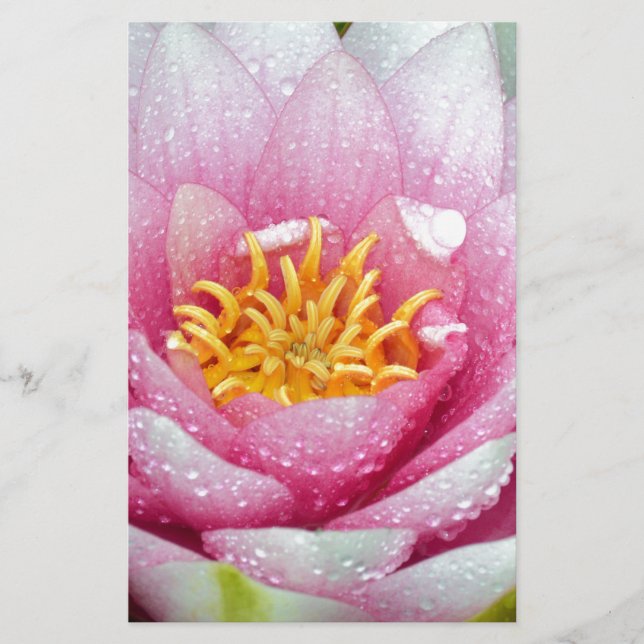 PInk-Blume Briefpapier (Vorderseite)