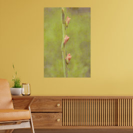 Pink Blume Buds Gladiolus Art Poster
