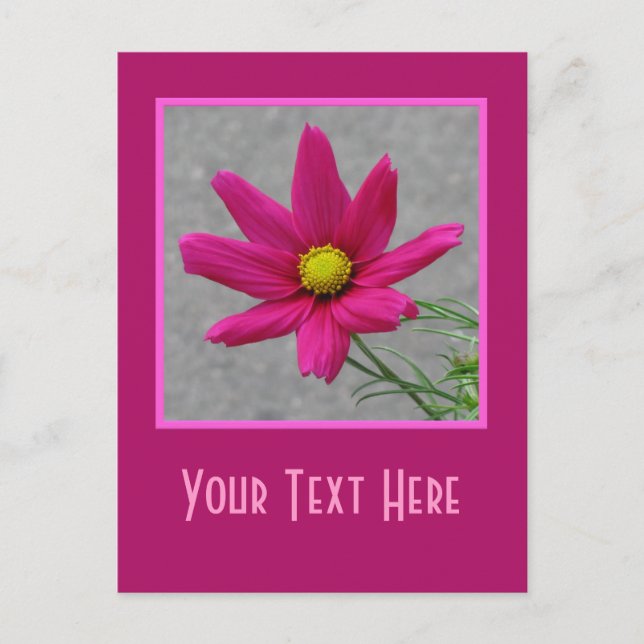 Pink-Blume-Postkarte Postkarte (Vorderseite)