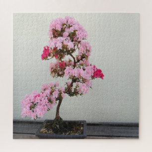 Pink Bonsai Tree