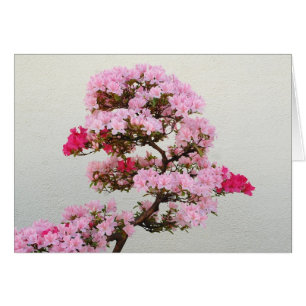 Pink Bonsai Tree