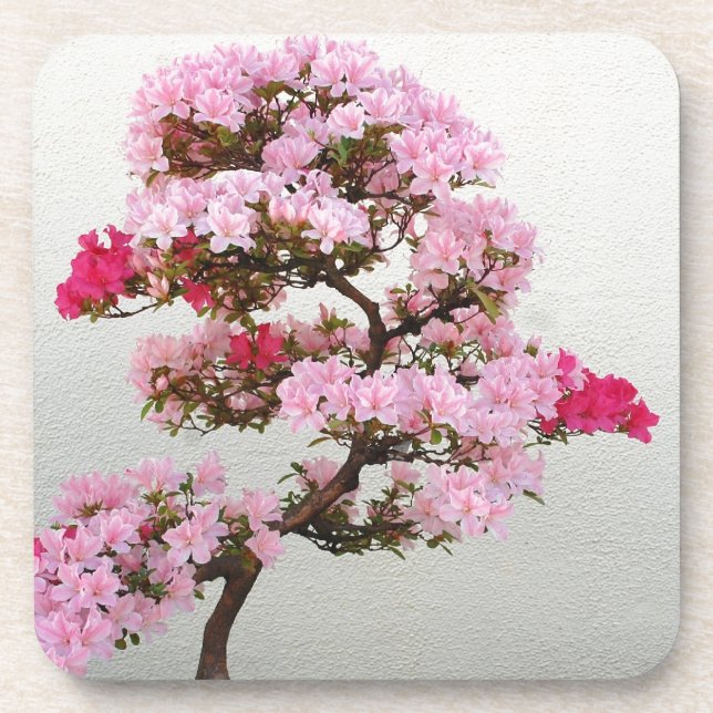 Pink Bonsai Tree Untersetzer (Vorderseite)