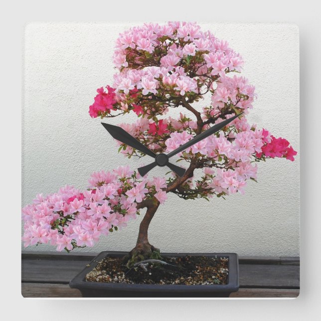 Pink Bonsai Tree Wanduhr (Vorderseite)