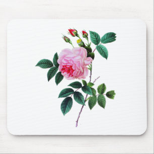 Pink Cabbage Rose von Pierre Joseph Redoute Mousepad