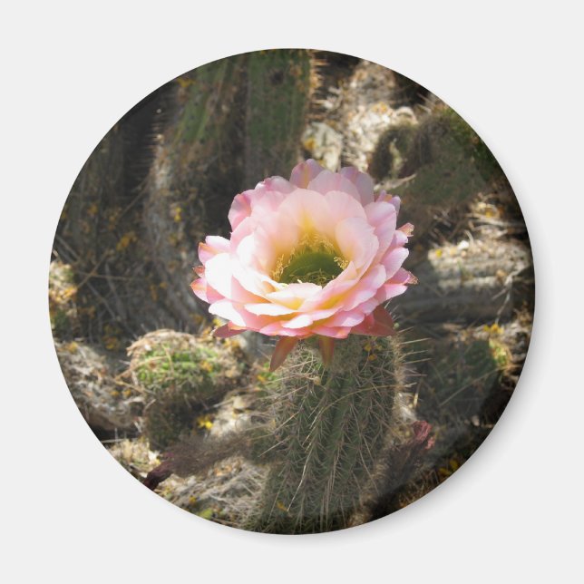 Pink Cactus Blume Magnet (Vorne)