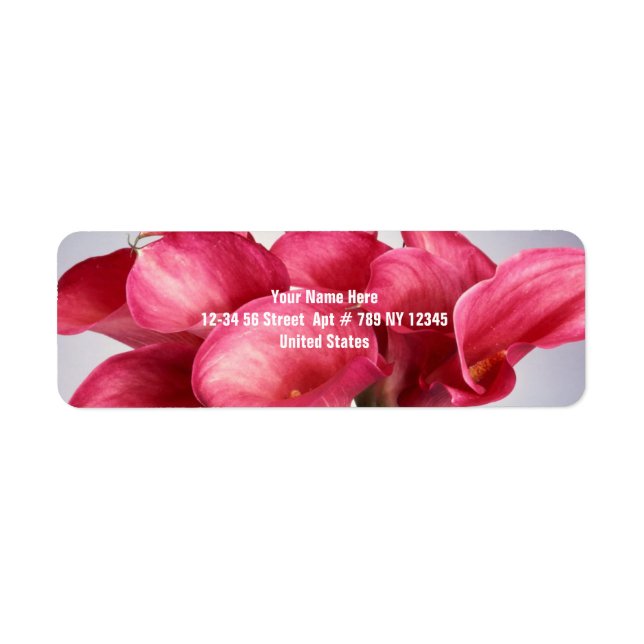 Pink Calla Lilies (Vorne)