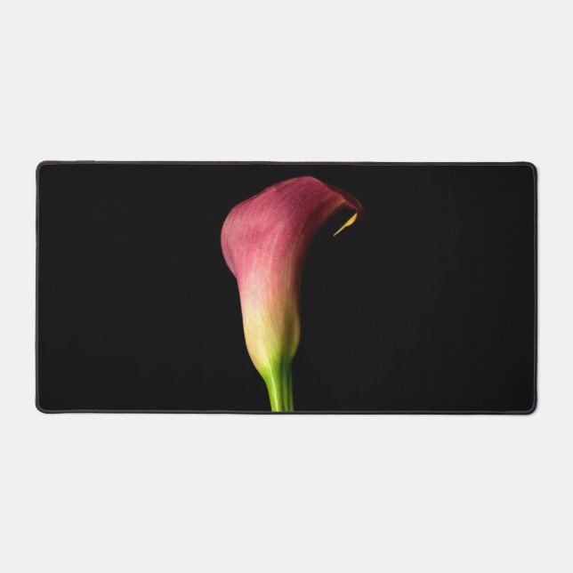 Pink Calla Lily Elégante Photo Arrière - plan noir (Recto)
