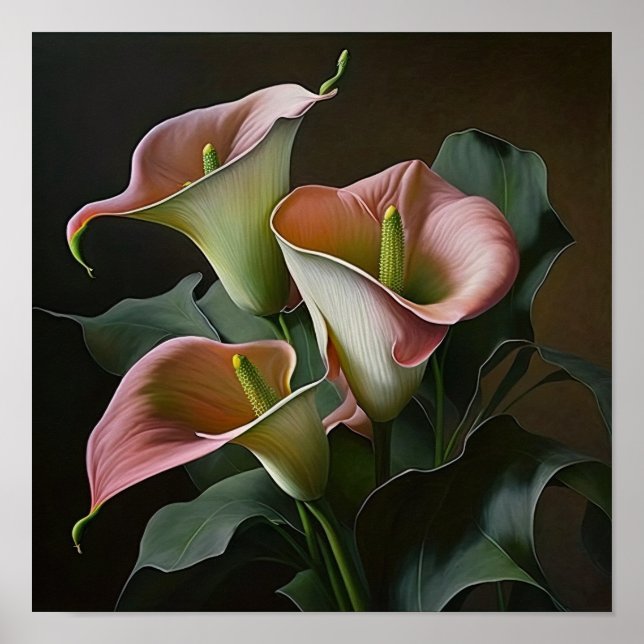 Pink Calles Lilies Lily Blume Art Paintball Poster (Vorne)
