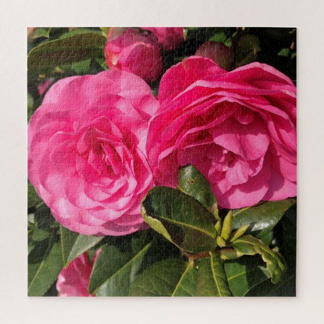 Pink Camellia (Vertikal)