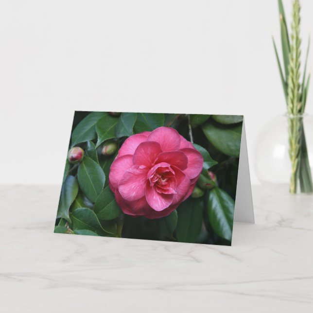 "Pink Camellia # 1" Karte (Vorderseite)