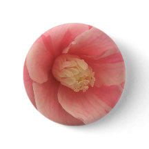 Pink Camellia