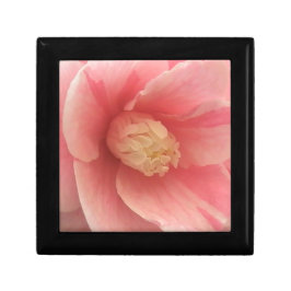 Pink Camellia Erinnerungskiste
