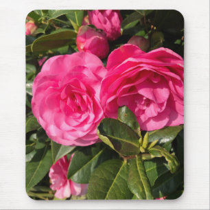 Pink Camellia Mousepad