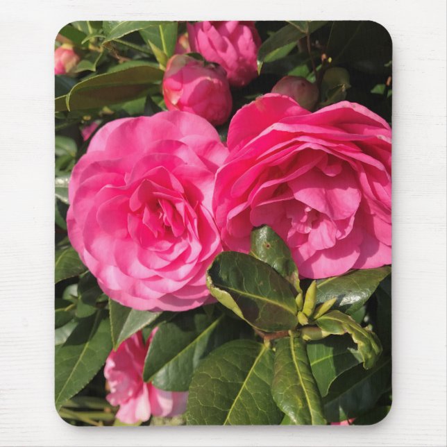 Pink Camellia Mousepad (Vorne)