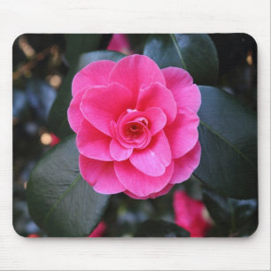 Pink Camellia Mousepad