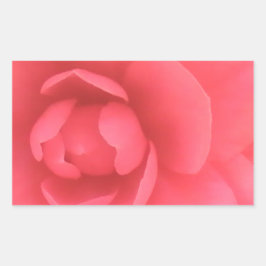 Pink Camellia Rechteckiger Aufkleber