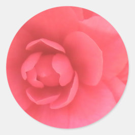Pink Camellia Runder Aufkleber