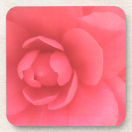 Pink Camellia Untersetzer