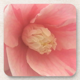 Pink Camellia Untersetzer