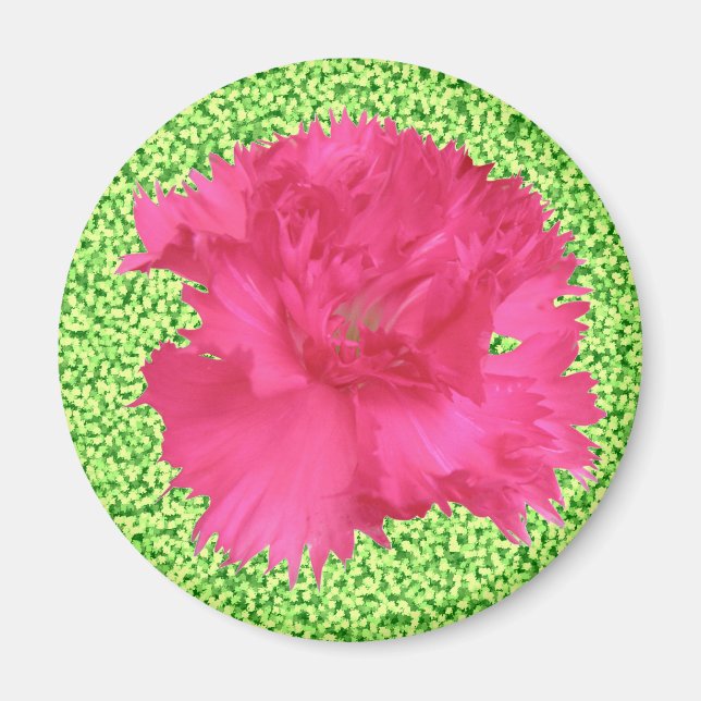 Pink Carnation Magnet (Vorne)
