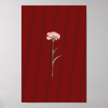 Pink Carnation on Red - Romantisches ästhetisches