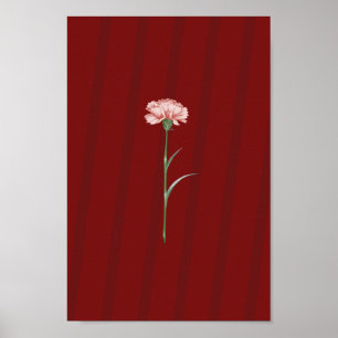 Pink Carnation on Red - Romantisches ästhetisches  Poster