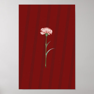 Pink Carnation on Red - Romantisches ästhetisches Poster
