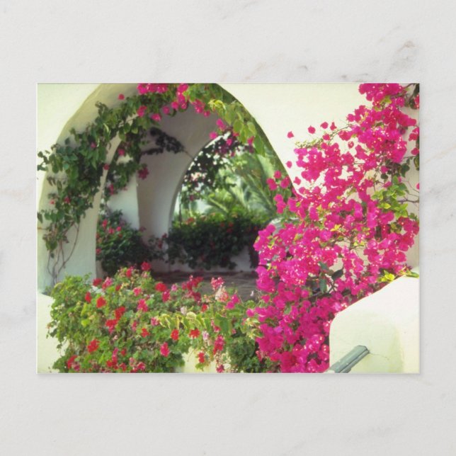 Pink Casa Autohafen, Moraira, Costa Blanca Blume Postkarte (Vorderseite)