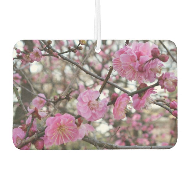 Pink Cherry Blosm / Sakura / ラ(桜) Autolufterfrischer (Vorderseite)