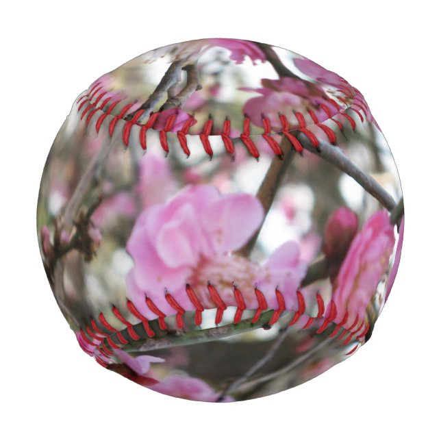 Pink Cherry Blosm / Sakura / ラ(桜) Baseball (Vorderseite)