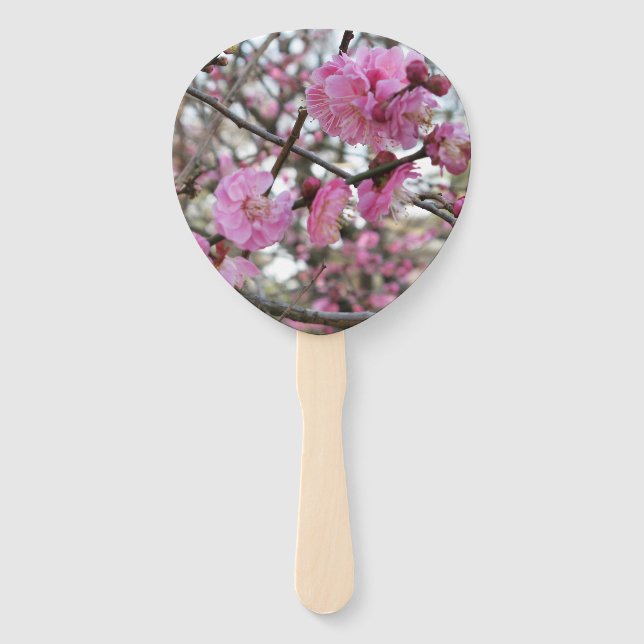 Pink Cherry Blosm / Sakura / ラ(桜) Fächer (Vorderseite)
