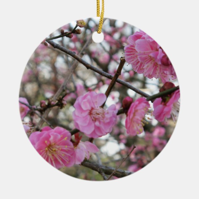 Pink Cherry Blosm / Sakura / ラ(桜) Keramik Ornament (Vorne)