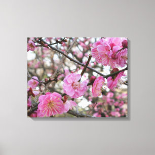 Pink Cherry Blosm / Sakura / ラ(桜) Leinwanddruck