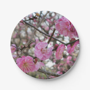 Pink Cherry Blosm / Sakura / ラ(桜) Pappteller