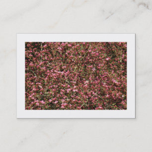 Pink Cherry Blossom 02 (grenzbar) Visitenkarte