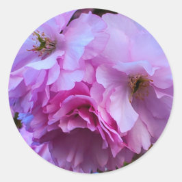 Pink Cherry Blossom Blume Runder Aufkleber